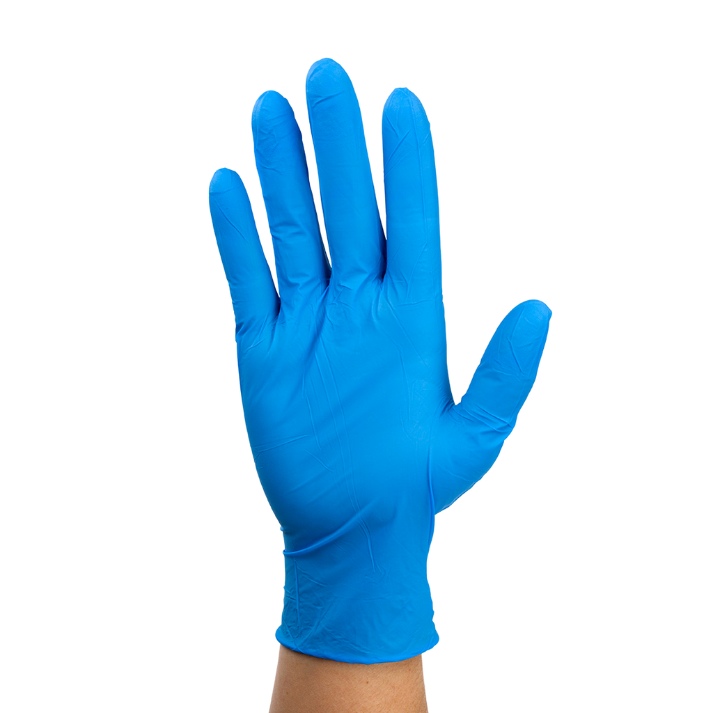 Nitrile Exam Gloves In A Bag, Large, Powder-Free, Blue Dynarex