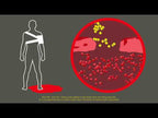Celox-A Hemostatic Granules with Applicator