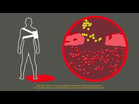 Celox-A Hemostatic Granules with Applicator